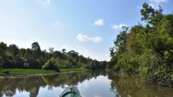 Menyatu dengan Alam di Taman Nasional Way Kambas