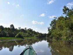 Menyatu dengan Alam di Taman Nasional Way Kambas