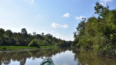 Menyatu dengan Alam di Taman Nasional Way Kambas