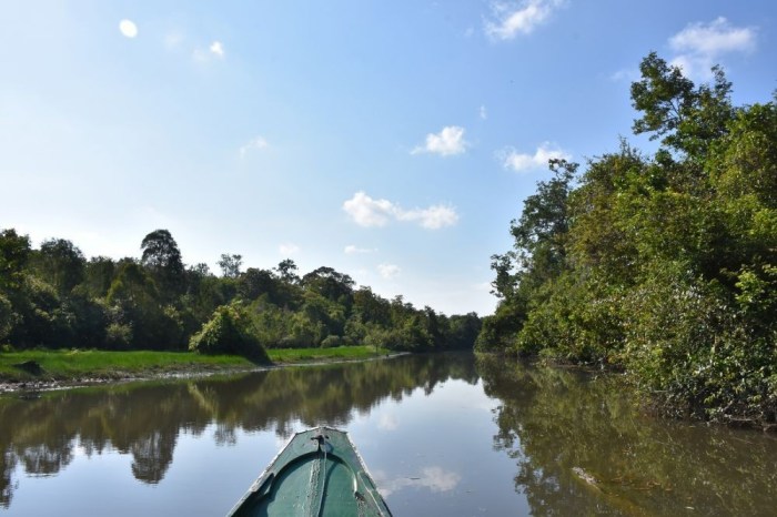 Taman nasional kambas barat wisata alam lampung paling kekayaan keren lebaran destinasi libur selama terselubung Menyatu dengan Alam di Taman Nasional Way Kambas