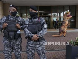 Viral di Brasil, Juliana Buat Pemerintah Indonesia Bertindak Cepat