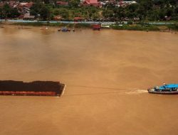 Batu Bara RI Ditinggalkan Dunia Apa Langkah Selanjutnya