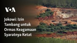 Jokowi Ungkap Fakta Lama soal Tambang Raja Ampat