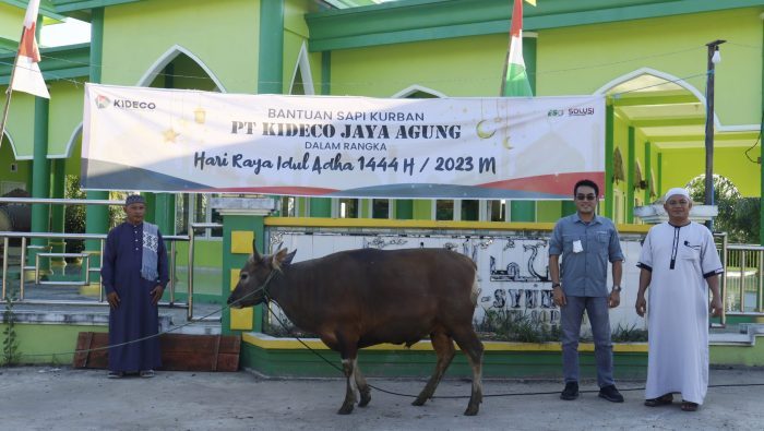 Sambut Idul Adha 1444 H/2023 Kideco Bagikan Ratusan Sapi Kurban, Wujud ... Sambut Idul Adha, Babel Dapat 8 Ekor Sapi dari Presiden