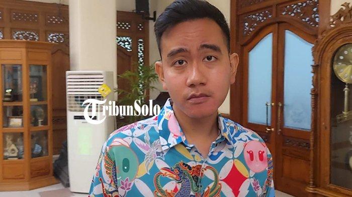 DPP Projo Umumkan Dukungan Pilkada Serentak Sesuai Visi Prabowo-Gibran Soal Gibran, Projo: Semua Sesuai Prosedur