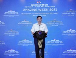 Pulau Kecil Aceh Sempat Jadi Incaran Investasi UEA, Kata Luhut