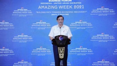 Pulau Kecil Aceh Sempat Jadi Incaran Investasi UEA, Kata Luhut