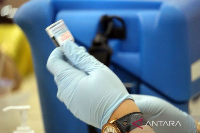 Imunisasi Dewasa: Mana yang Wajib?