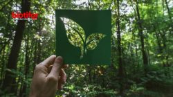 Selebgram Pamer Gaya Hidup Ramah Lingkungan yang Inspiratif
