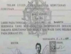 Diperiksa Besok, Jokowi Ingin Proses Dugaan Ijazah Palsu Diusut Tuntas