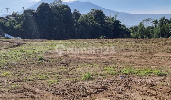 Jual Tanah di Bogor | Harga Terbaru 2024