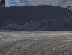 Batu Bara Jadi Pilar Ketahanan Energi Indonesia, Simak Buktinya