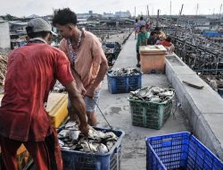 Kampung Nelayan Merah Putih Sediakan 7000 Lowongan Kerja Baru