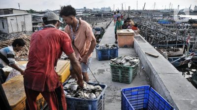 Kampung Nelayan Merah Putih Sediakan 7000 Lowongan Kerja Baru