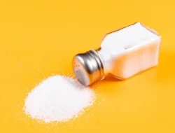 Fakta MSG dan Generasi Micin Menurut Nutrisionis