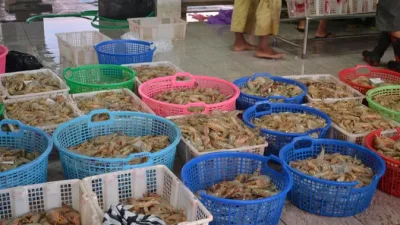 Kasus Radioaktif Memprihatinkan Petambak Udang