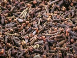 Produk Impor Cengkeh Indonesia Terindikasi Tercemar Radioaktif Setelah Udang Beku