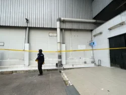 Kasus Udang Beku Indonesia Tercemar Radiasi, KLH Segel Pabrik Peleburan Stainless Steel