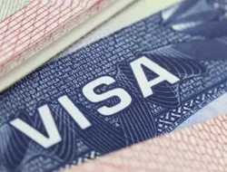 Visa Tenaga Kerja Asing Rp 1,6 Miliar Ditarik, India Paling Terpengaruh