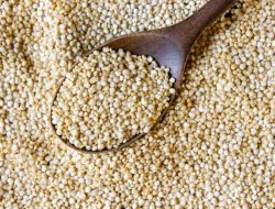 Kembangkan Sosis Ayam Sorgum, Kaya Protein dan Ramah untuk Pengidap Diabetes