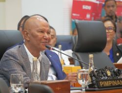 Catatan Tahun Pertama Pemerintahan Prabowo-Gibran dari Said PDIP