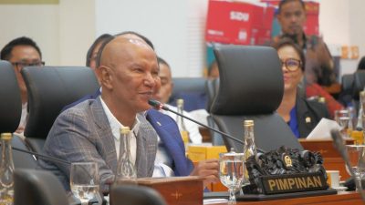 Catatan Tahun Pertama Pemerintahan Prabowo-Gibran dari Said PDIP