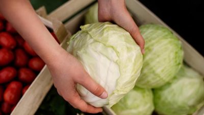 Waspadai Efek Makan Kubis saat Hamil atau Mengonsumsi Obat