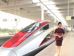 Evaluasi Menyeluruh Whoosh oleh Bos Danantara Sebelum Melapor ke Luhut dan Purbaya