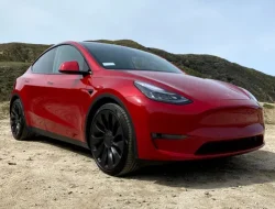 Bos beli 3 Tesla Model Y untuk rancang mobil listrik baru