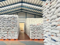Bangun 100 Gudang Baru Bulog Raih Pendapatan Rp 5 Triliun