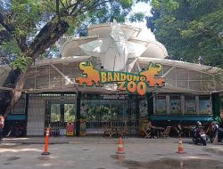 Terdakwa Kasus Korupsi Kebun Binatang Bandung Dijatuhi Hukuman 7 Tahun Penjara