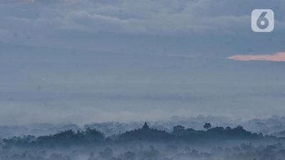 Wisata Desa Energi Karangrejo Borobudur Masuki Pasar Eropa