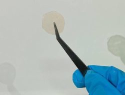 Mahasiswa Unpad Ciptakan Patch Antipenuaan dari Buah Merah Papua yang Inovatif