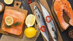 5 Jenis Ikan Terbaik untuk Kesehatan Otak dan Meningkatkan Ingatan Anda