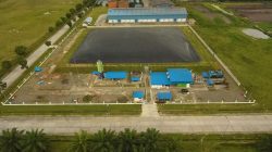 90% Kredit Karbon Baru Terjual, Pembeli dari Sektor Perbankan hingga Perdagangan