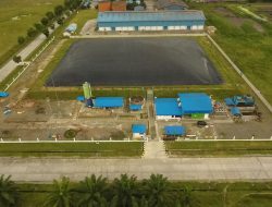 90% Kredit Karbon Baru Terjual, Pembeli dari Sektor Perbankan hingga Perdagangan