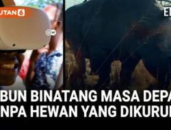Kebun Binatang Masa Depan Hewan Hidup Bebas Tanpa Penjara