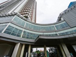 Catatan Kenaikan Pendapatan 49,8% dan Laba 44,1% Paradise Indonesia di Kuartal III-2025