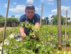 Melawan Beton di Depok, Pakde Bowo Menanam Harapan di Lahan Terabaikan