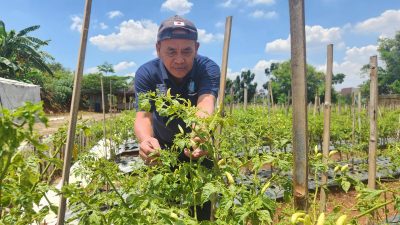 Melawan Beton di Depok, Pakde Bowo Menanam Harapan di Lahan Terabaikan