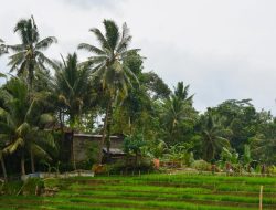 Diskon 30% untuk Liburan Nataru di Berbagai Desa Wisata Terpilih