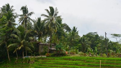 Diskon 30% untuk Liburan Nataru di Berbagai Desa Wisata Terpilih