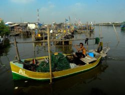 Banjir Rob Rendam Kampung Baru Dadap Tangerang, 540 Keluarga Terpengaruh