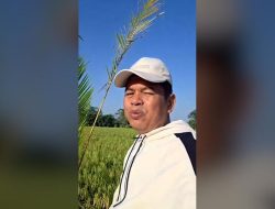 Penyerang Martabak Ditangkap Polisi setelah Demul Posting Konten