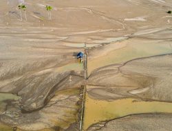 70.000 Ha Sawah Terkena Bencana Sumatera, Apakah Produksi Beras Terganggu?