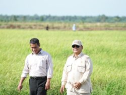 Swasembada Pangan Kembali Dicapai Indonesia di Era Prabowo
