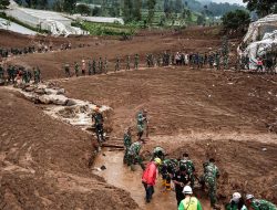 Ini adalah lahan hutan bukan lahan pertanian