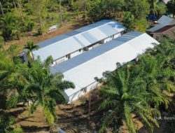 BUMN Membangun Rumah Sementara di Aceh Timur sebagai Hunian Transisi Korban Bencana