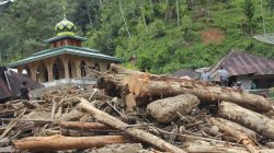 Aparat Diminta Proses Hukum 28 Perusahaan Setelah Cabut Izin Tak Cukup