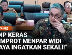 Putra PDIP Tegaskan kepada Menteri Widi: Saya Ingatkan Kembali, itu Namanya …